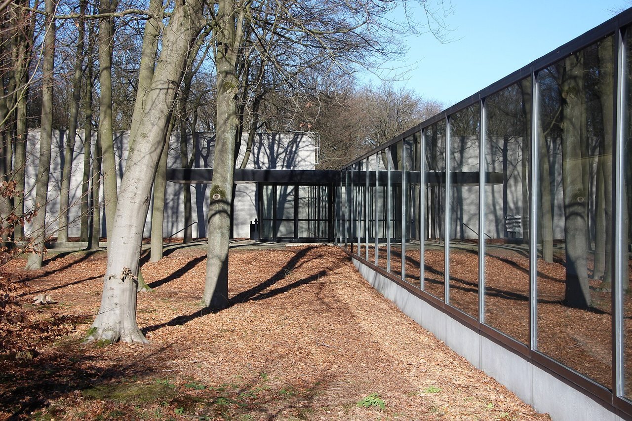 A long glass museum wing with light metal frames and a dark base beam, surrounded by bare beech trees on a carpet of leaves.