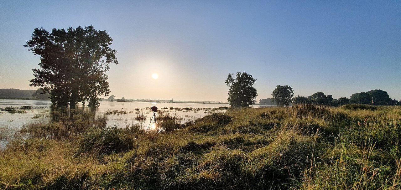 Large panorama d’une plaine inondable submergée dans la lumière rasante du matin, avec de l’eau entre l’herbe et les arbres, un trépied dans l’eau et le soleil au-dessus de l’horizon.