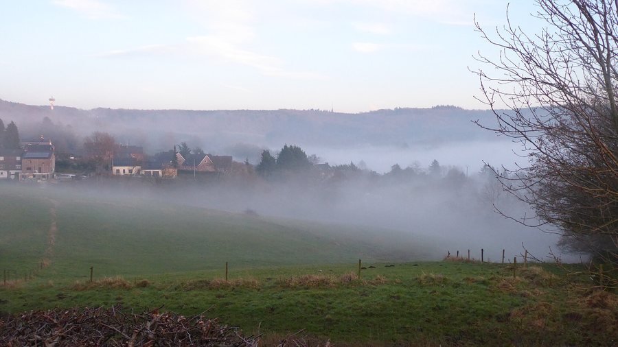 Eine grüne Weide fällt zu einem Tal voller weißem Nebel ab; links einige Häuser, rechts ein kahler Baum und auf dem bewaldeten Höhenrücken dahinter ein schmaler Aussichtsturm vor hellem Himmel.
