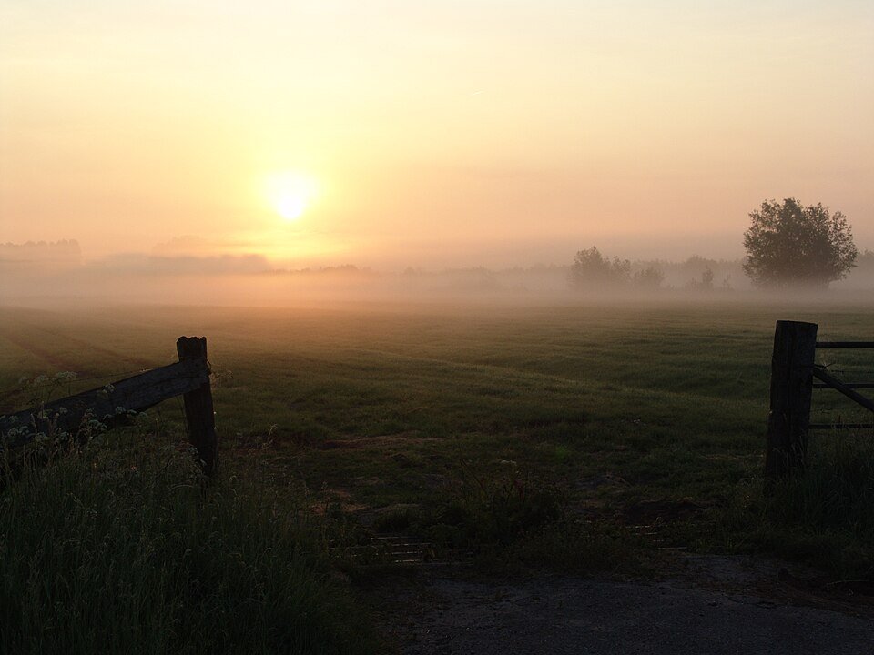 Lage mist boven een weiland bij zonsopkomst