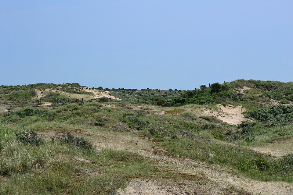 Duinvallei in de Amsterdamse Waterleidingduinen