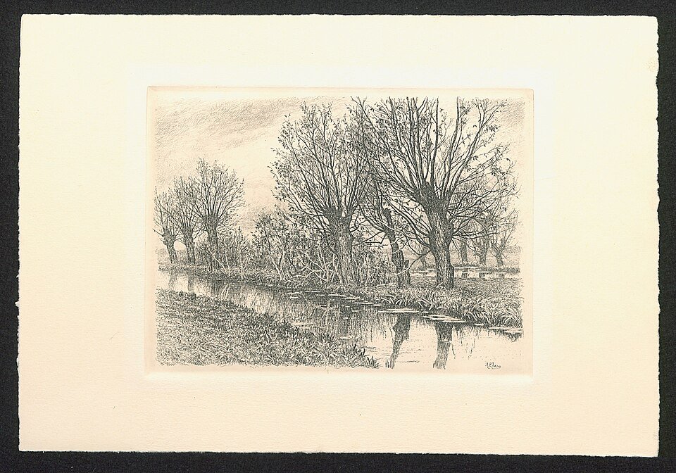 Historische prent van knotwilgen langs het water