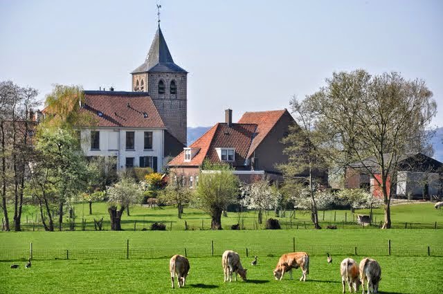 Dorpsbebouwing in het voorjaar in de Ooijpolder