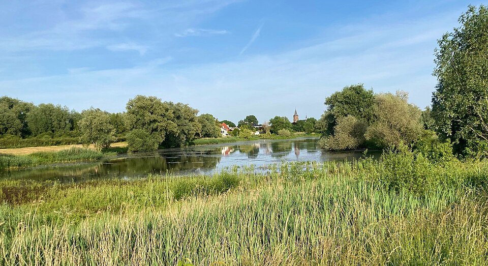 Water en begroeiing rond de Jonkmanshof in de Ooijpolder