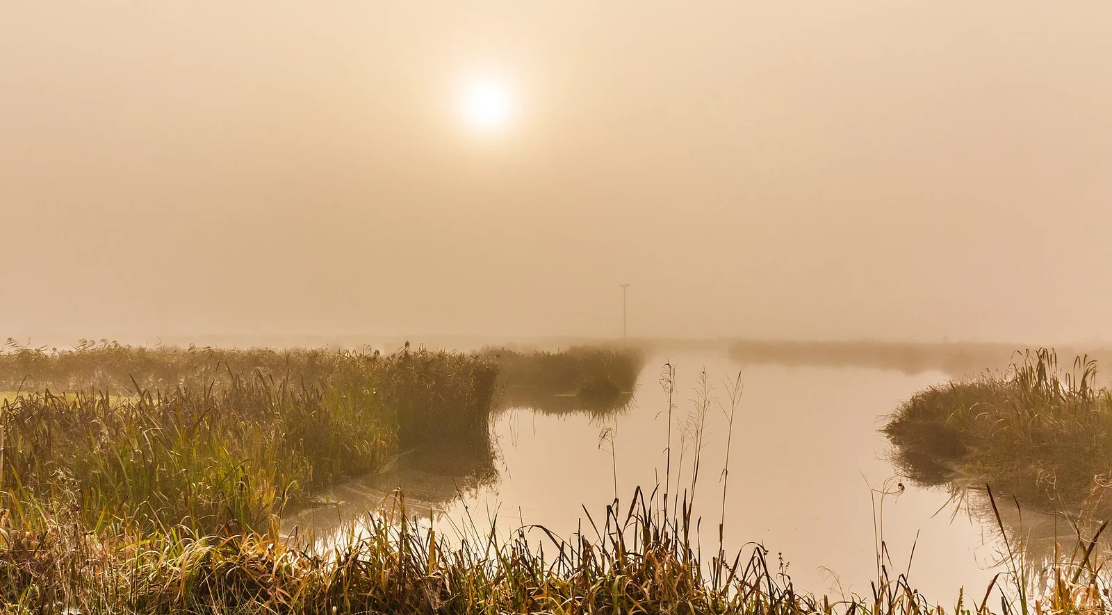 Vroege ochtend met laaghangende mist en een lage zon boven een smalle watergang met riet en oeverplanten.