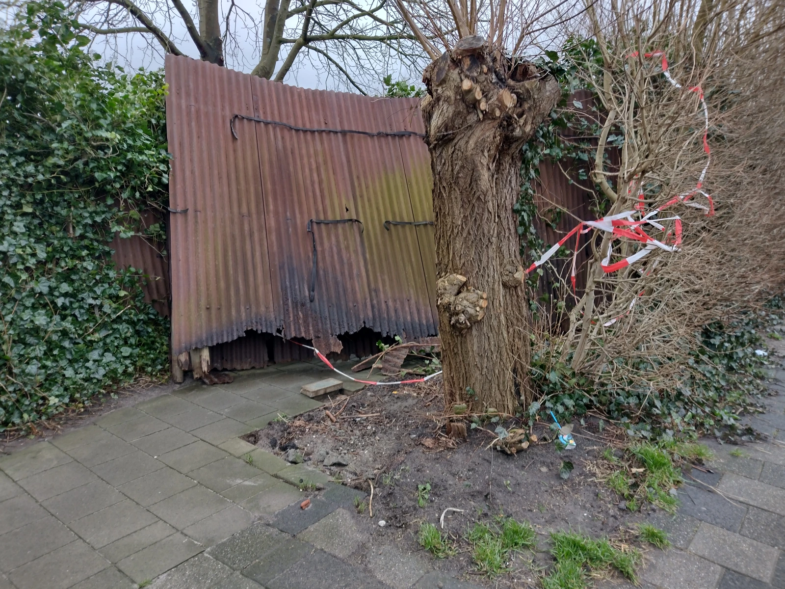 A broken tree beside a fence, cordoned off with tape.