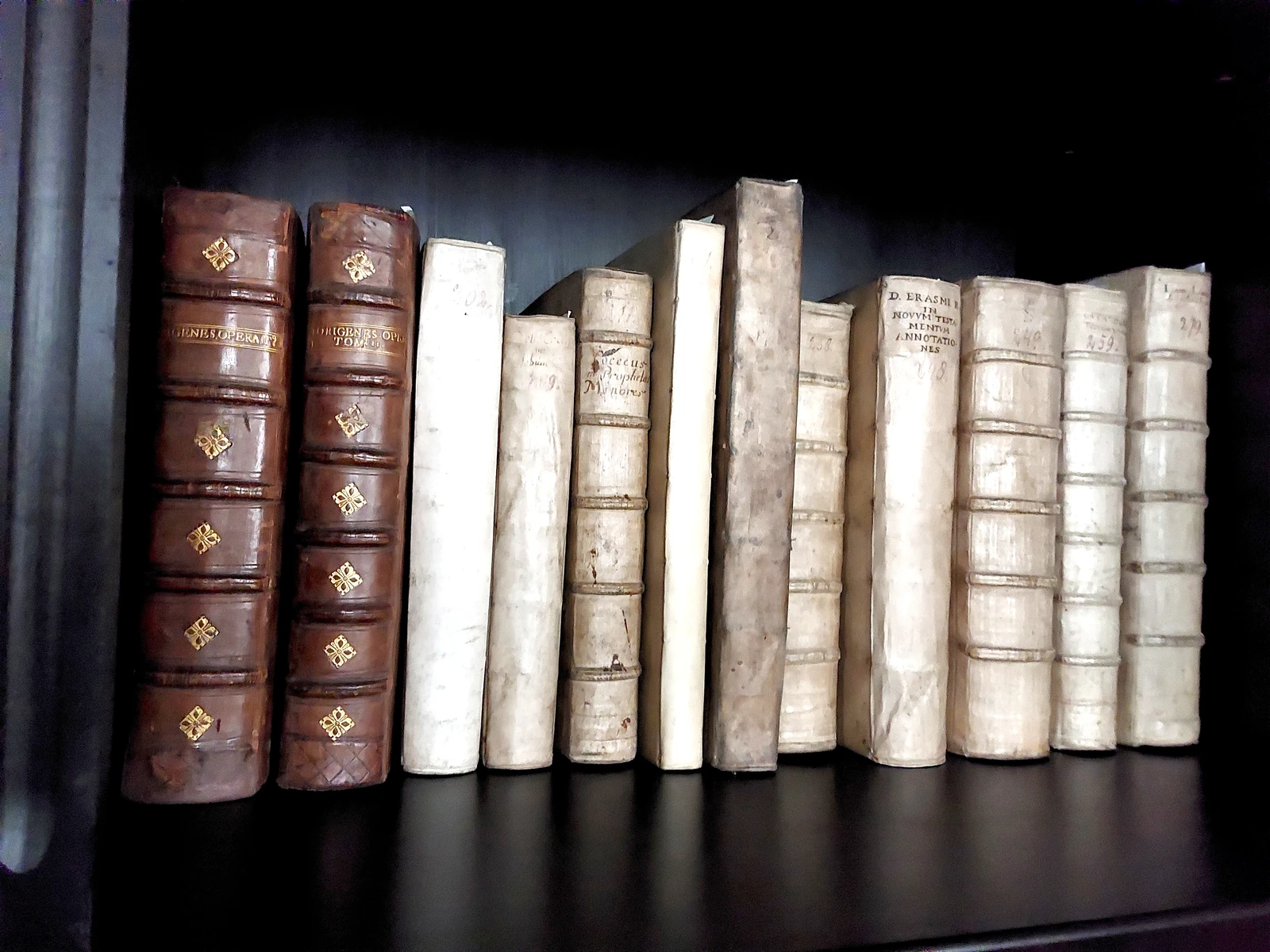 Eine Reihe alter Bücher auf einem dunklen Regalbrett: zwei Lederbände mit Goldprägung, daneben Bücher in hellen Pergamenteinbänden mit handschriftlichen Titeln auf dem Rücken.
