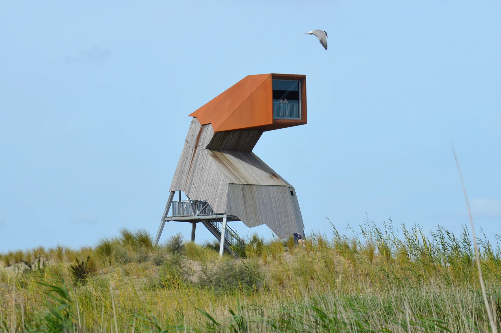 An observation tower of grey timber on slanting legs, with a rust-brown head and a large window, on a dune with marram grass; a seabird flies above it.